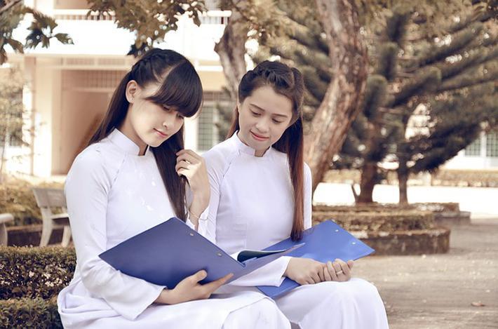 了解什么叫转子发动机知识星球 - 知识分享与互动社区